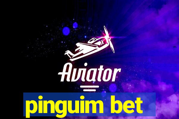 pinguim bet